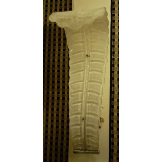 Coppia di appliques a foglia