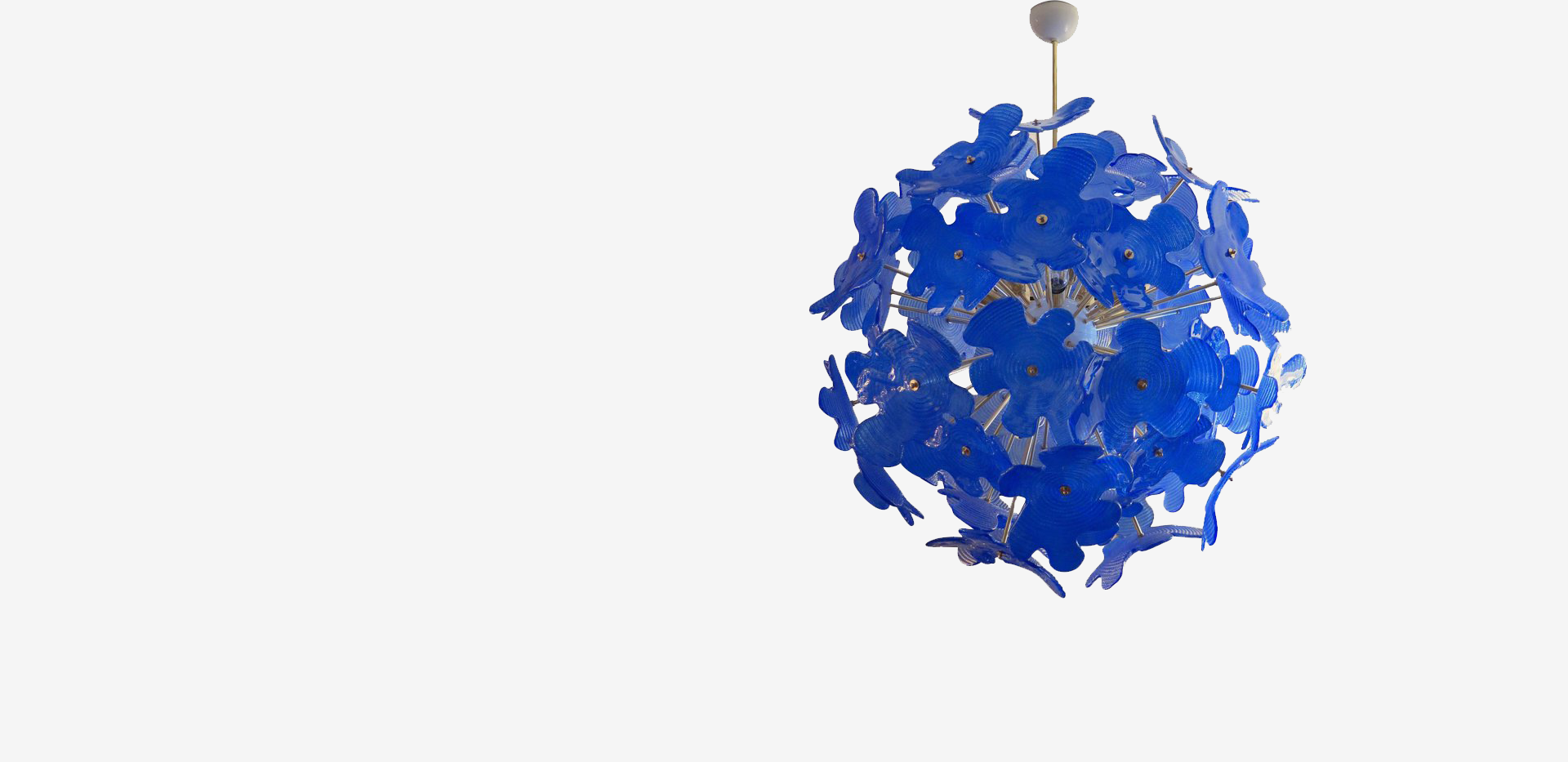 Vieni a scoprire tutti i prodotti in negozio